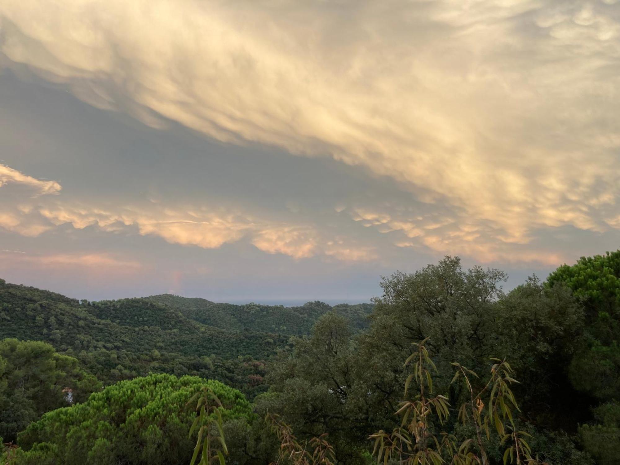 Casa de Férias Casa Con Vista Y Jardin, A 20' De La Playa Sant Cebrià de Vallalta